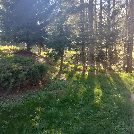 Apartament Sumski San *