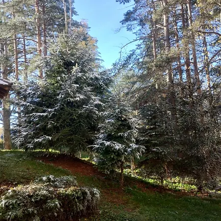 Sumski San * Divčibare