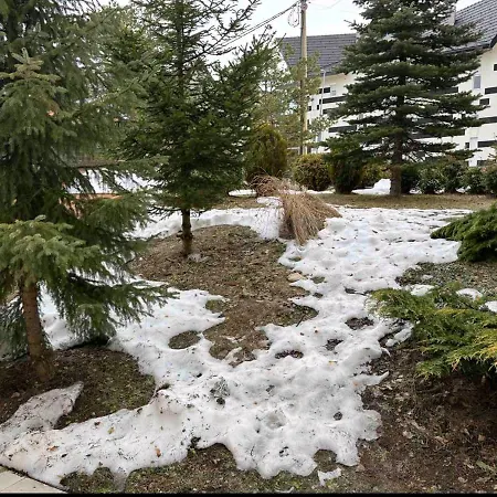 Apartament Sumski San *