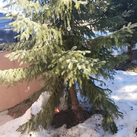 Apartament Sumski San